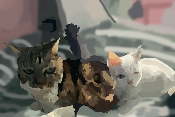 Untitled187